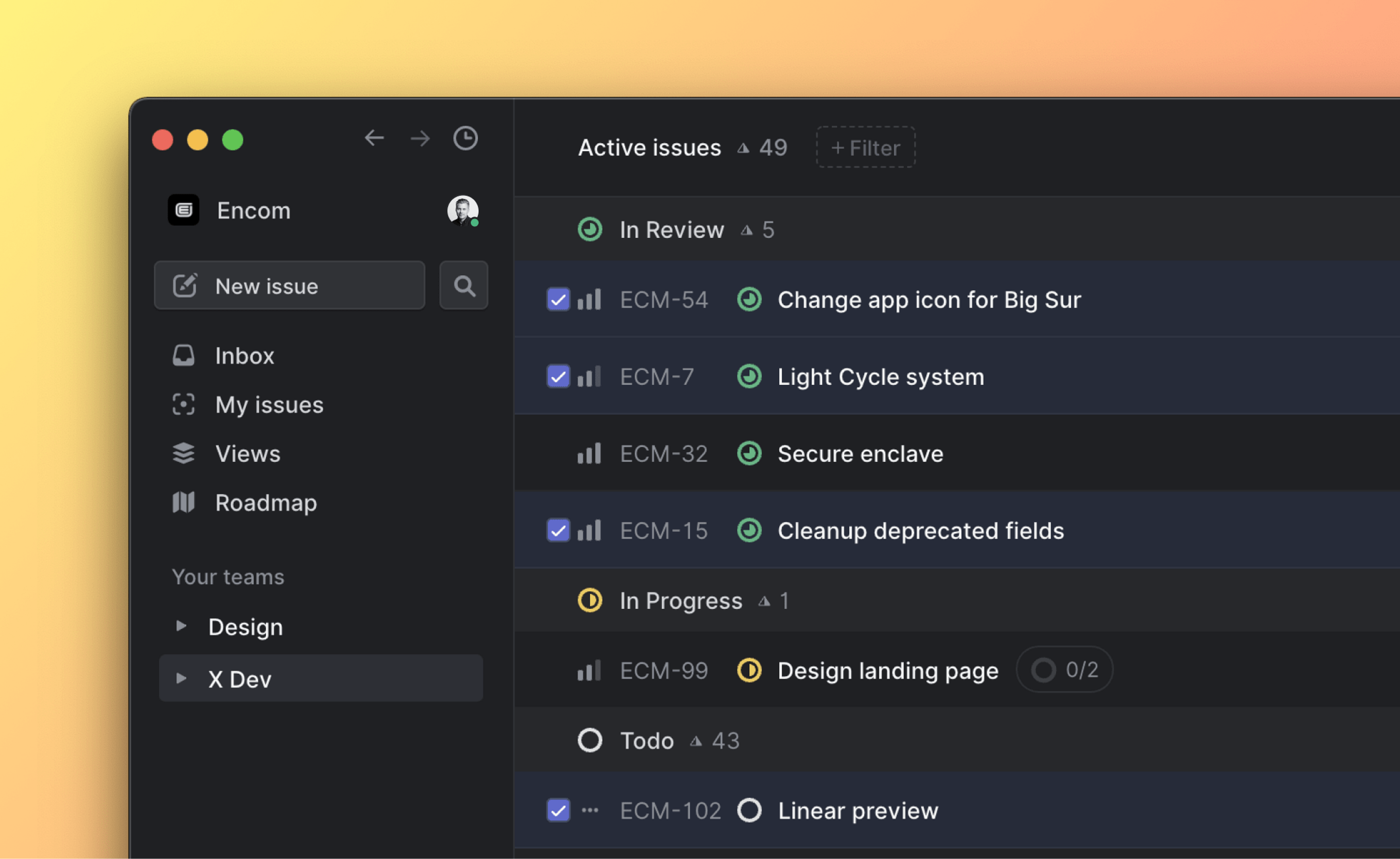Linear product screen: Select issues - Linear Docs